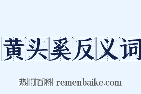 黄头奚反义词是什么意思的图片